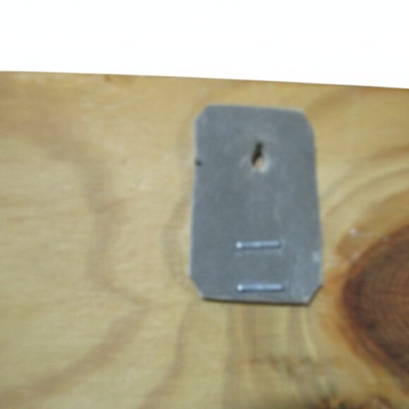 Vintage Harry J. Moeller Wood Bird Print Lacquered Framed Wall Art Mid-Century - Picture 5 of 7